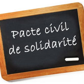 Le Pacte Civil De Solidarite Pacs